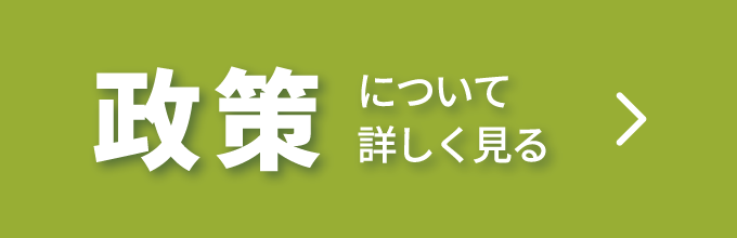 政策を見る - これからの石垣島のための政策